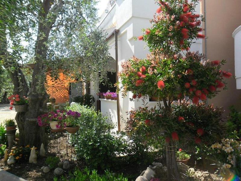 فيستَ Residence Valleverde المظهر الخارجي الصورة